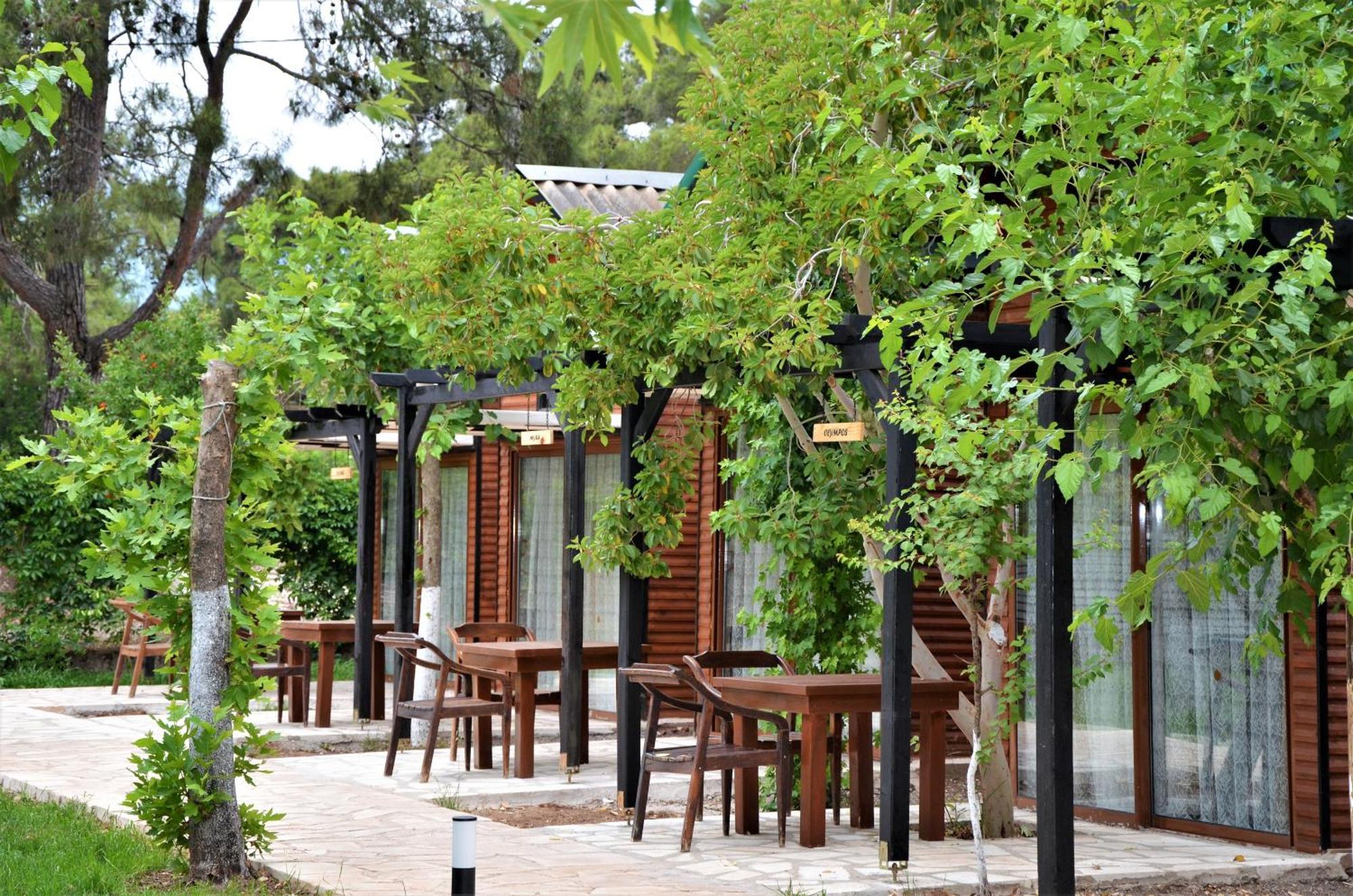 אולימפוס Koala Bungalows מראה חיצוני תמונה