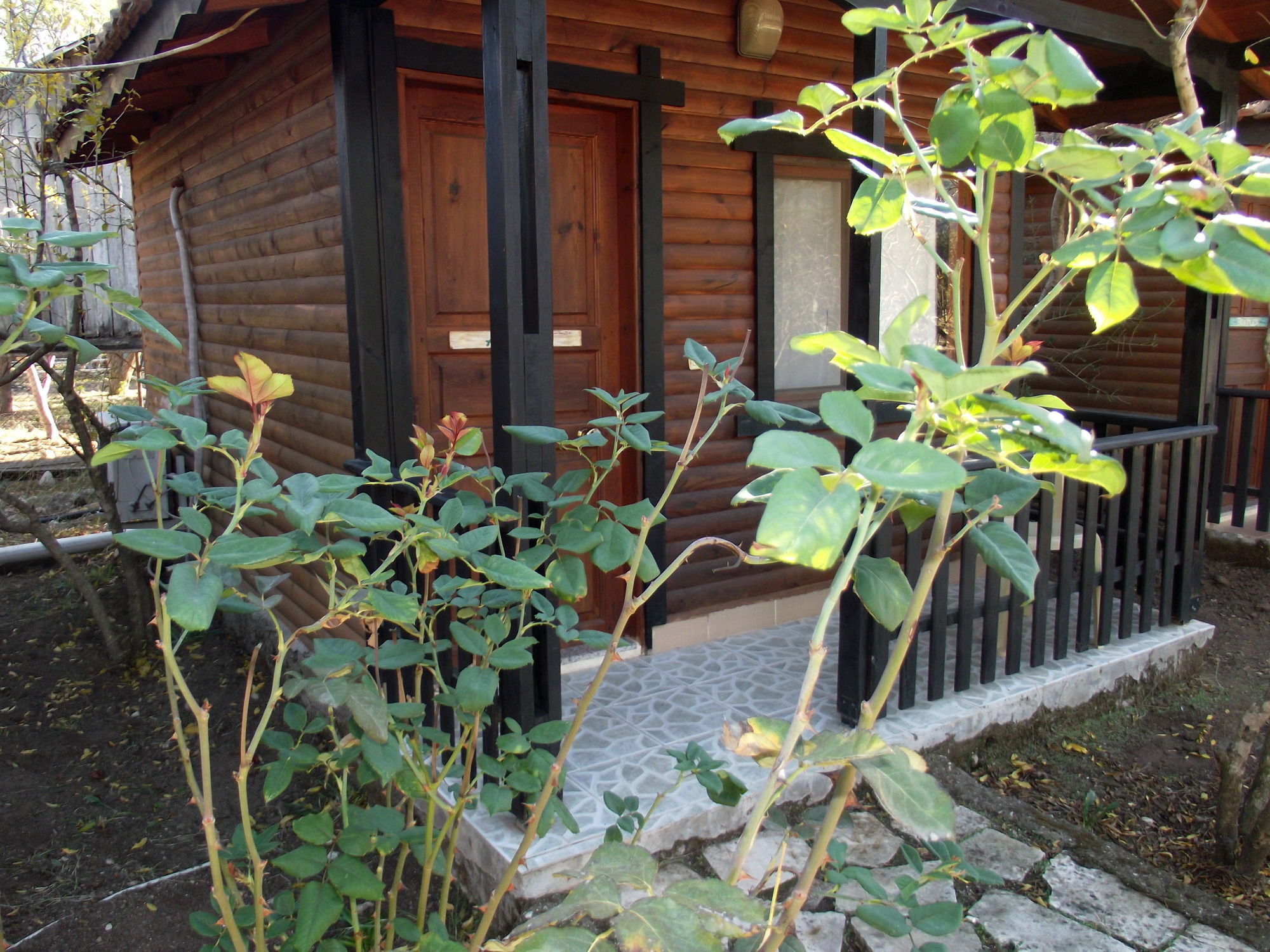 אולימפוס Koala Bungalows מראה חיצוני תמונה